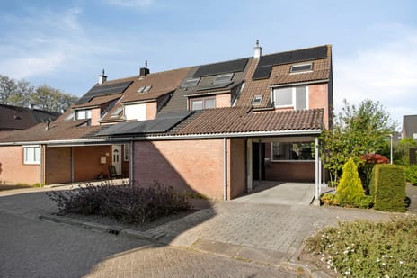 Jan de Geusrede thumbnail