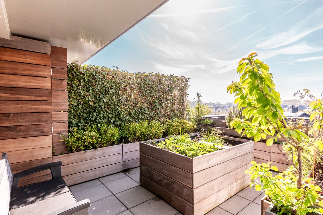 Foto 22 van Galjoen 09 45