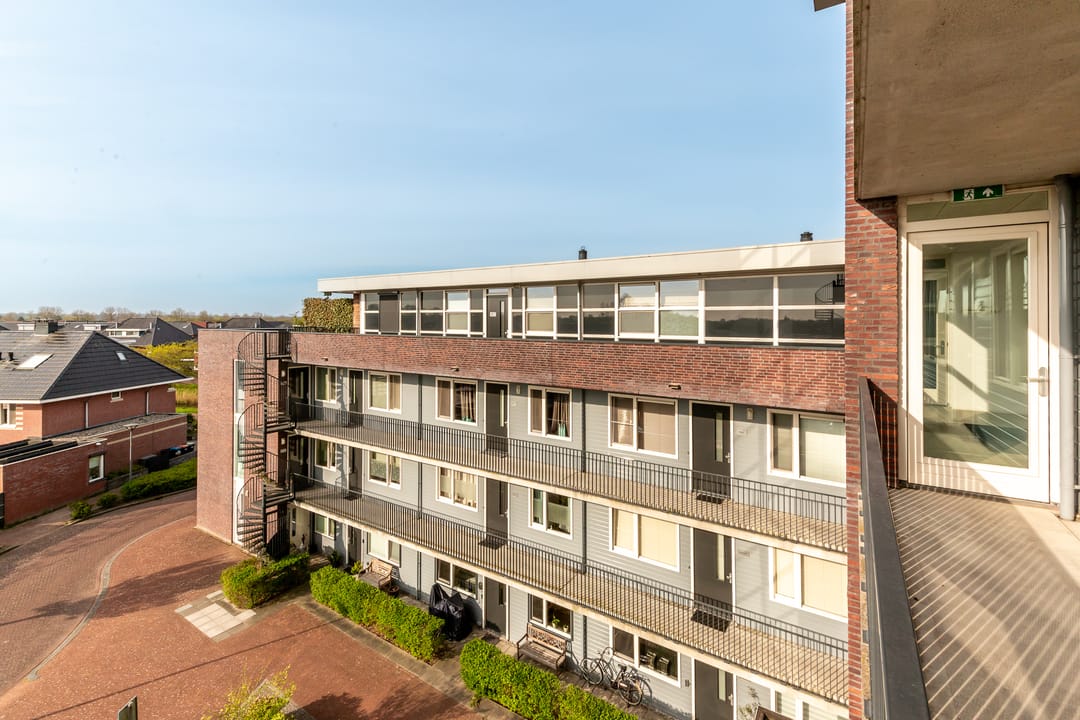 Foto 41 van Galjoen 09 45