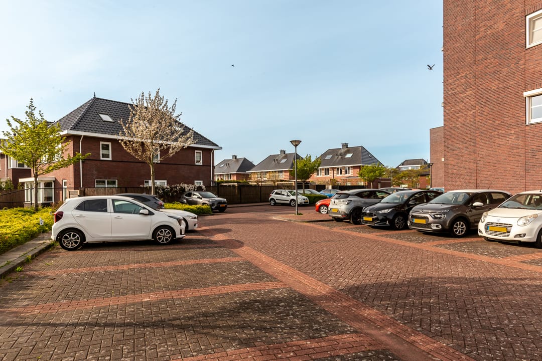 Foto 46 van Galjoen 09 45