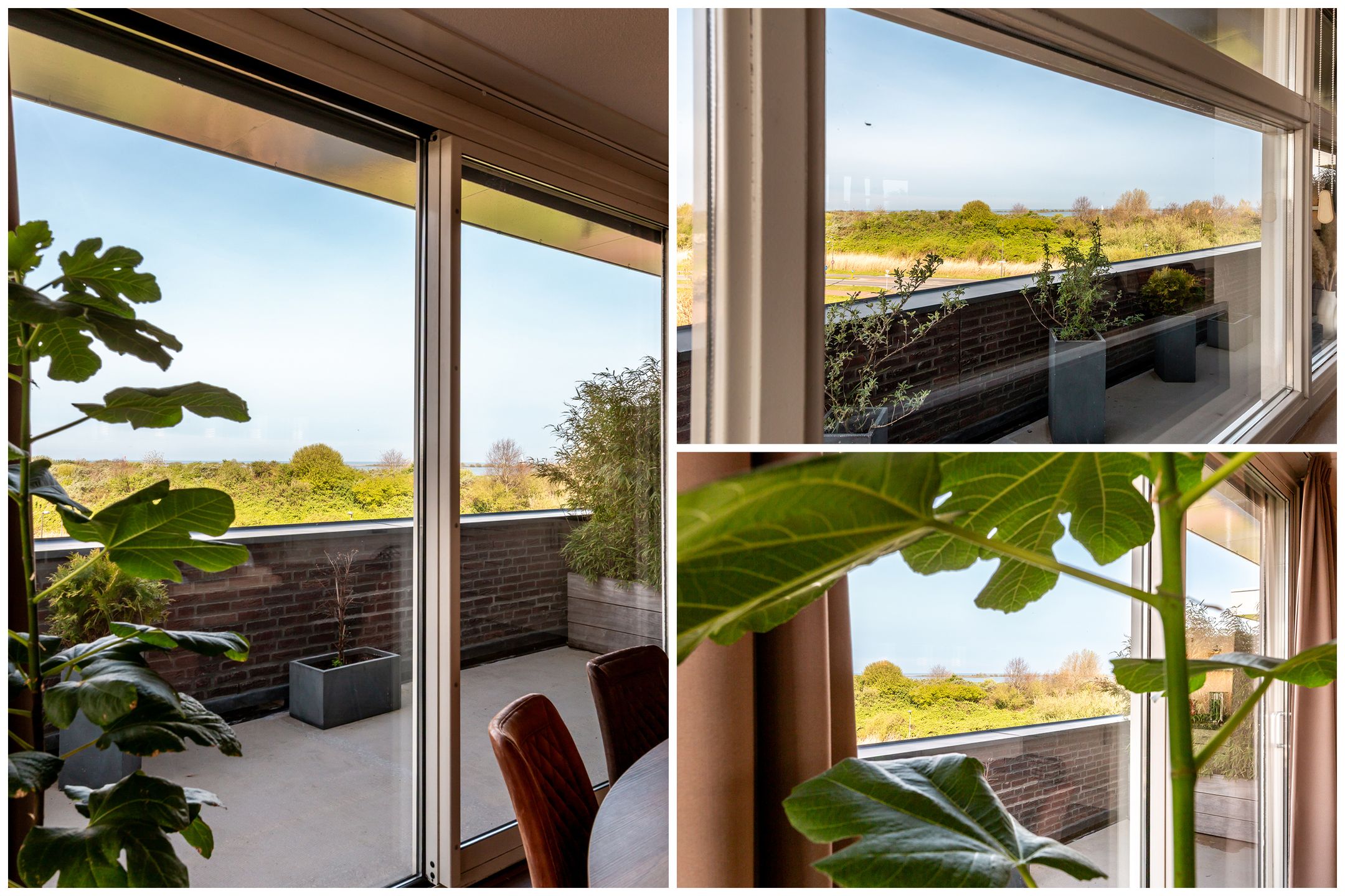 Foto 15 van Galjoen 09 45