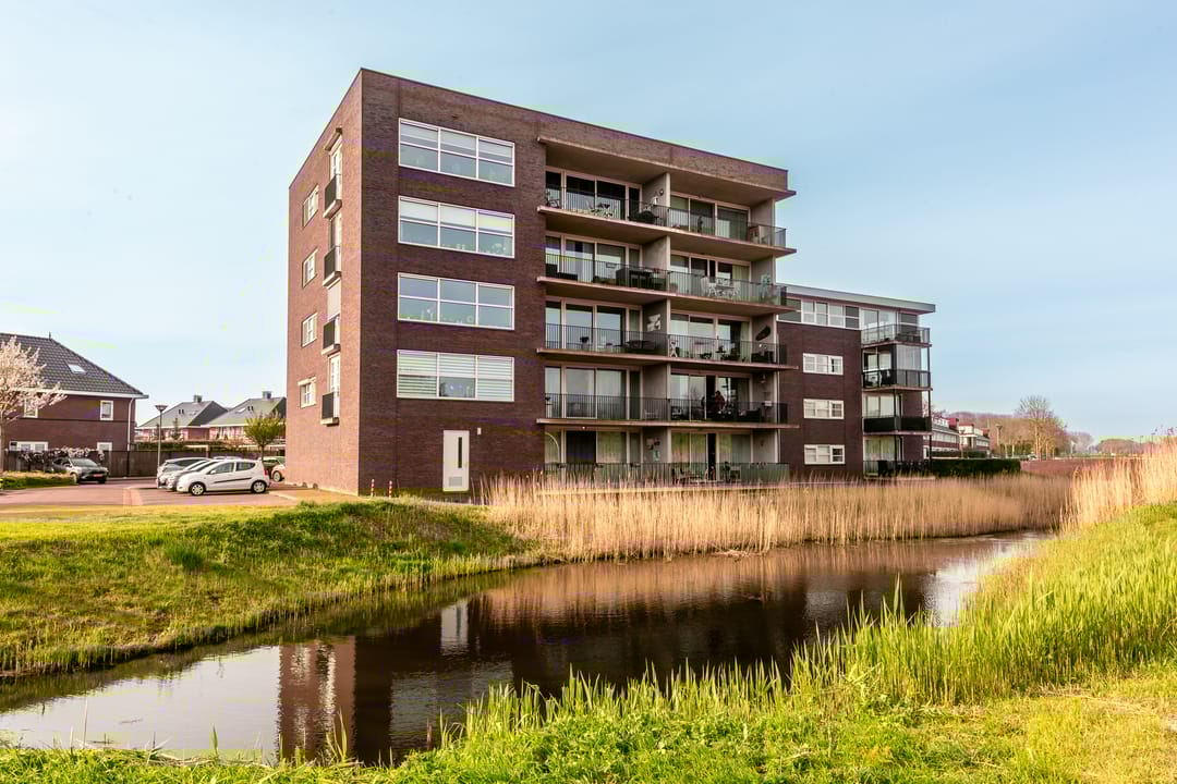 Foto 47 van Galjoen 09 45