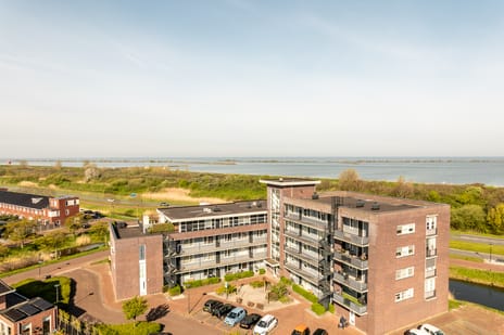 Galjoen 09 thumbnail