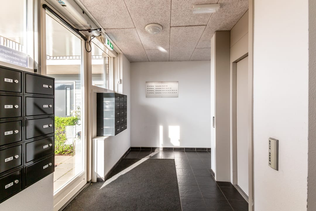 Foto 43 van Galjoen 09 45