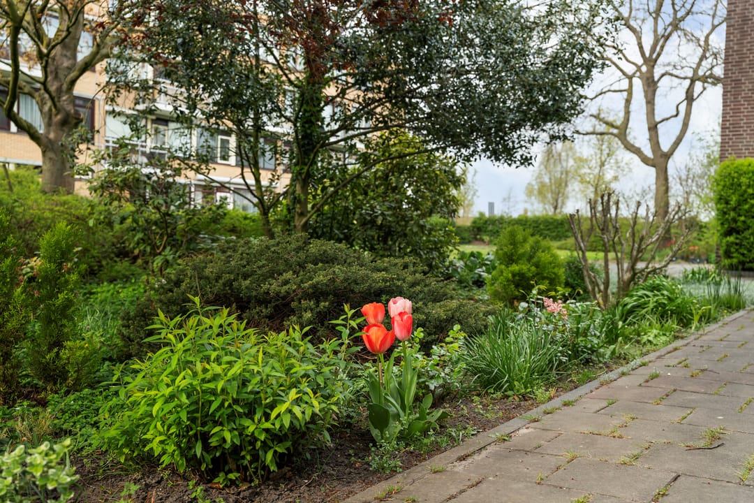 Foto 41 van Schollevaarstraat 58