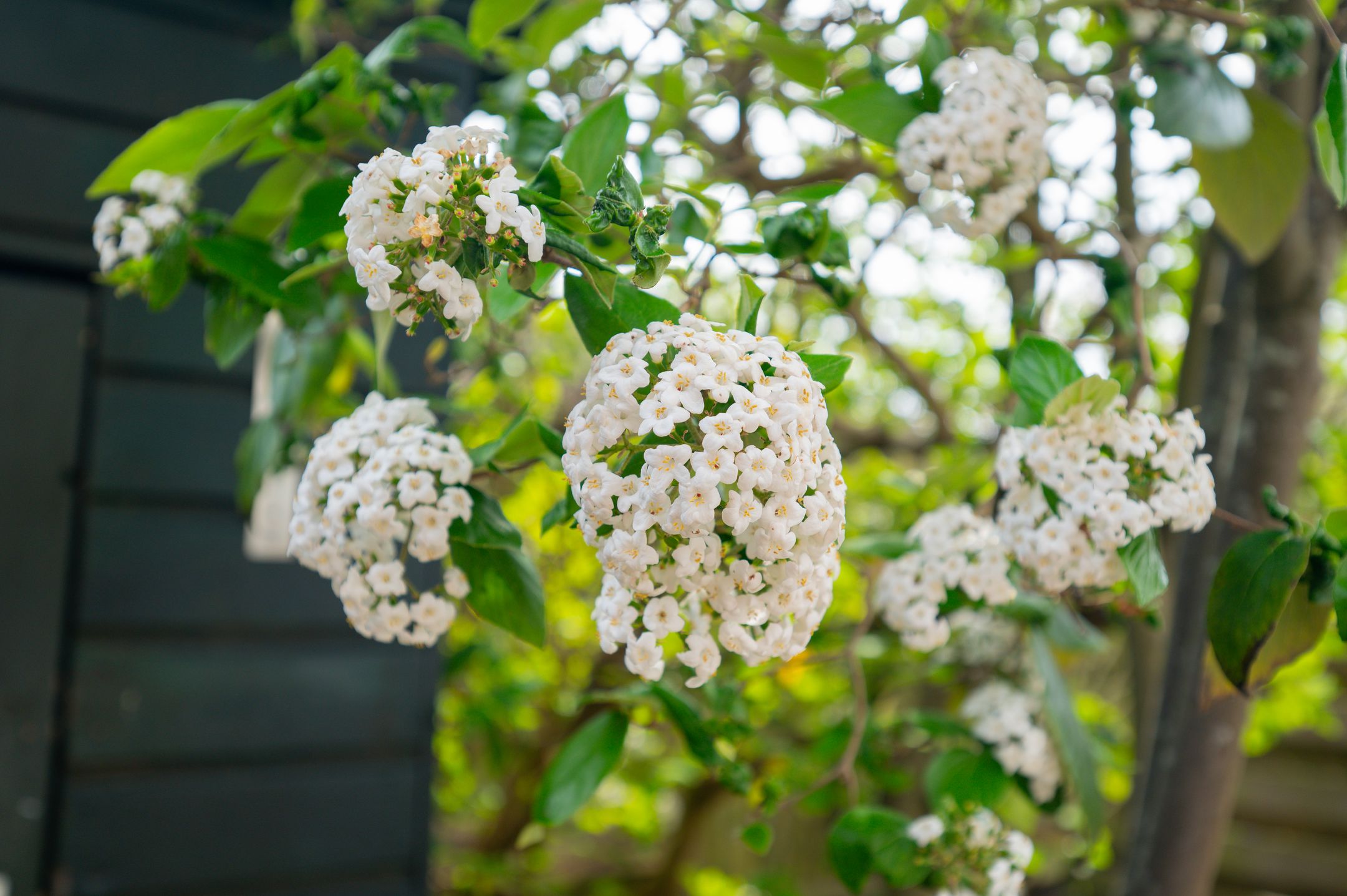 Foto 30 van Brinkgreverweg 120