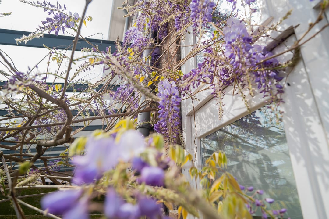 Foto 28 van Brinkgreverweg 120