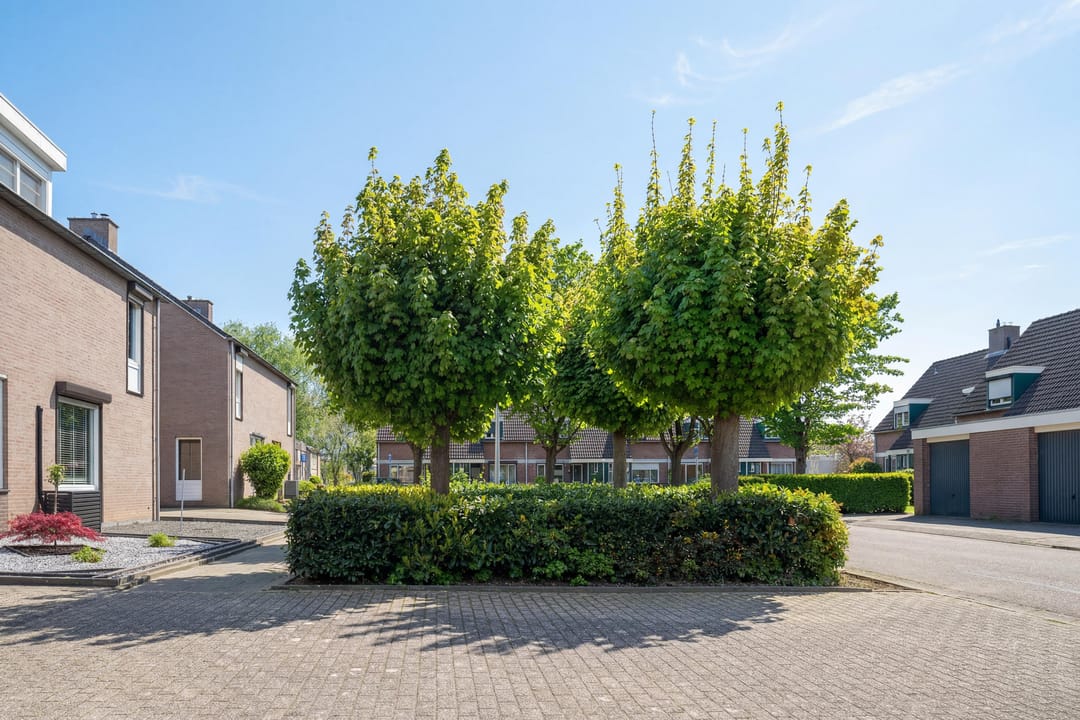 Foto 26 van Ringovenstraat 4