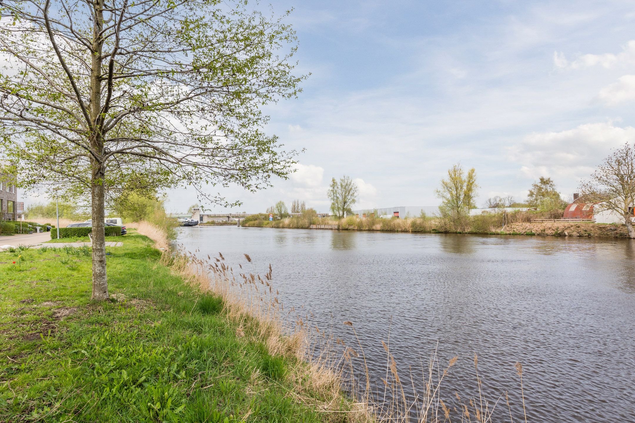 Photo 36 of Flamingokade 42