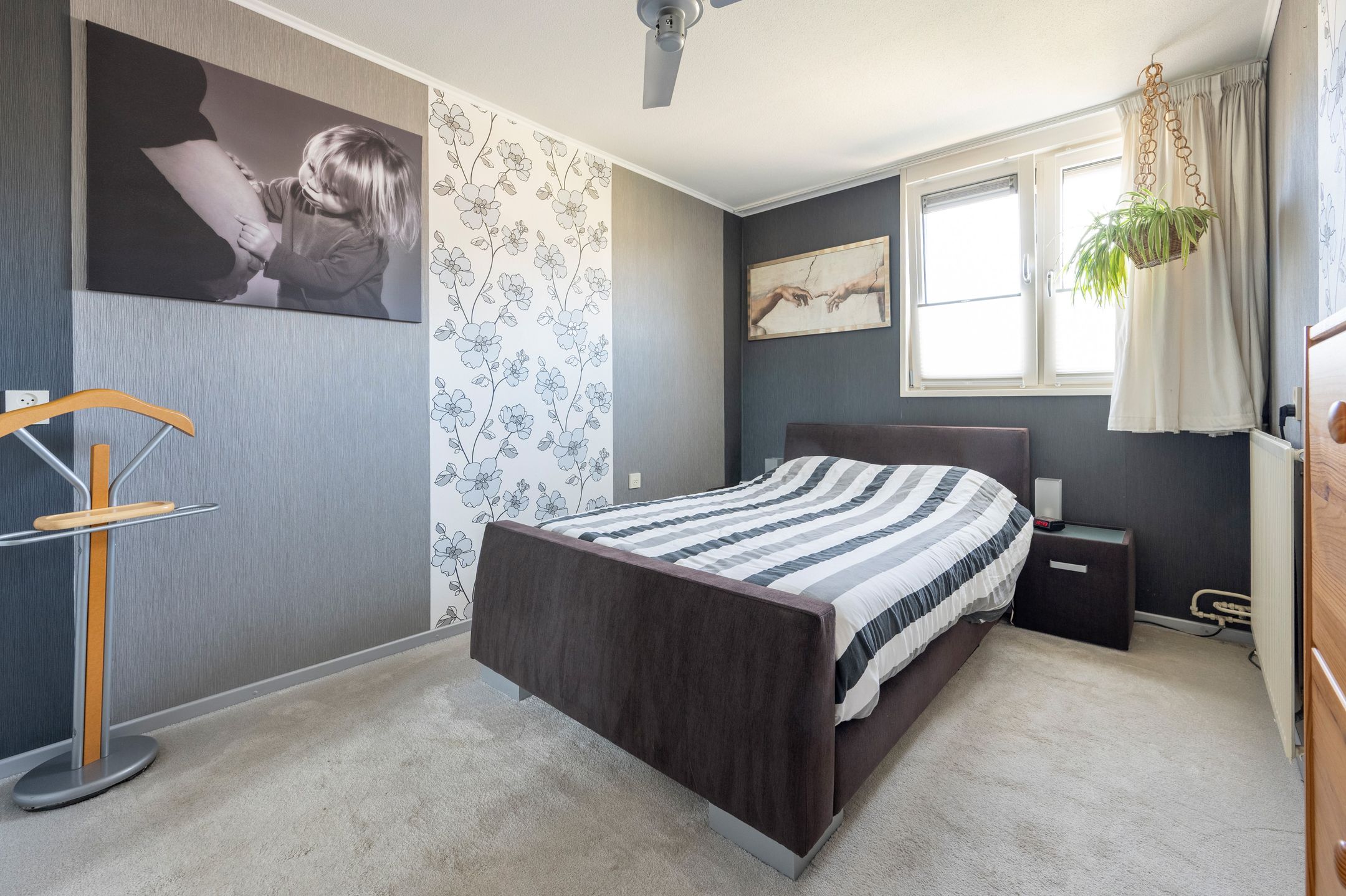 Foto 18 van Kuifmees 17