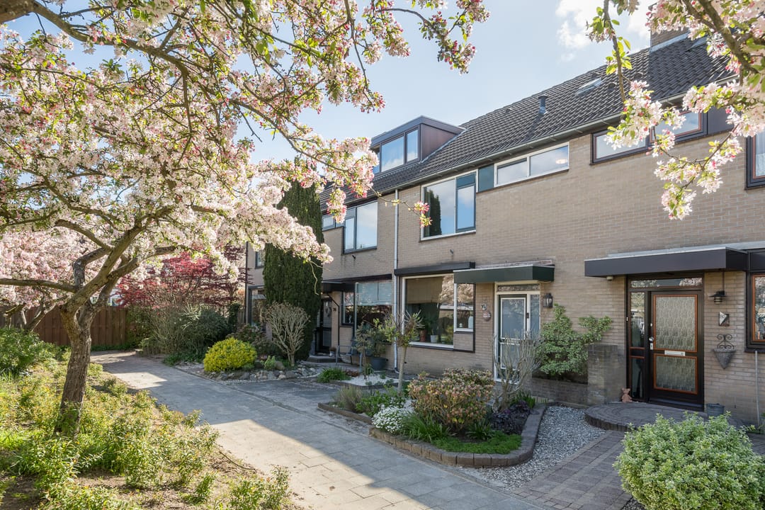 Foto 23 van Schoener 78