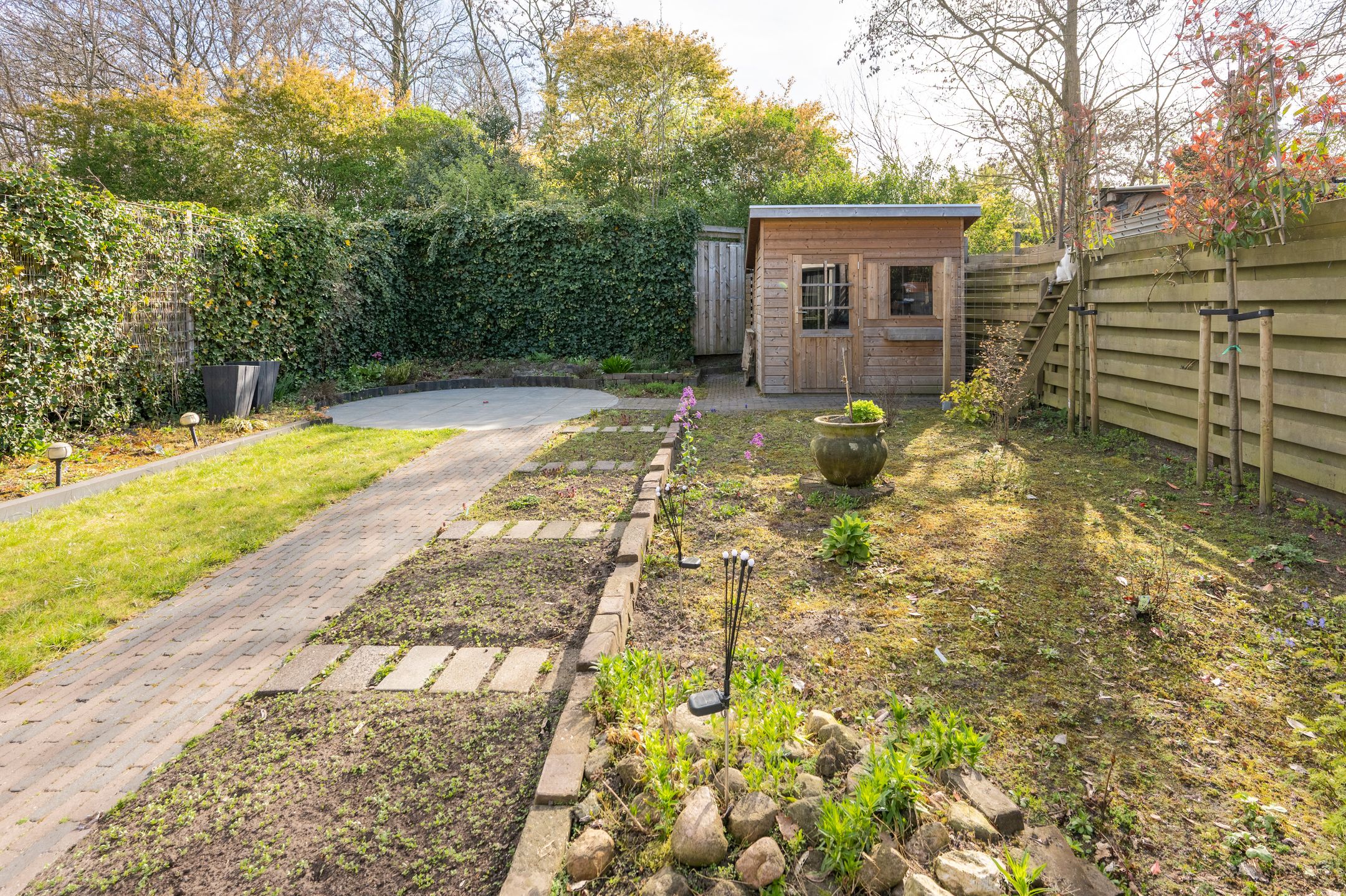 Foto 27 van Kuifmees 17