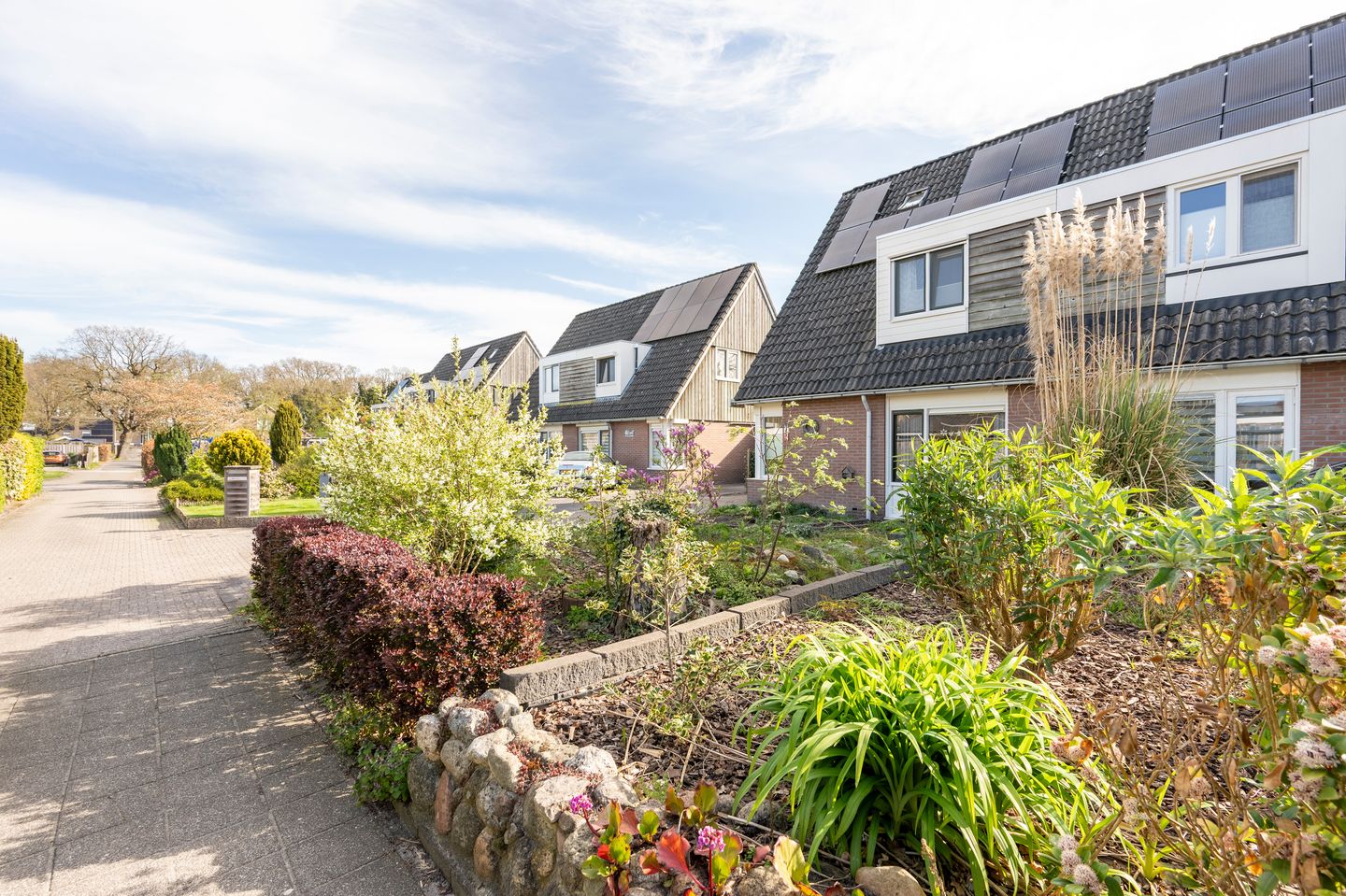 Foto 34 van Kuifmees 17