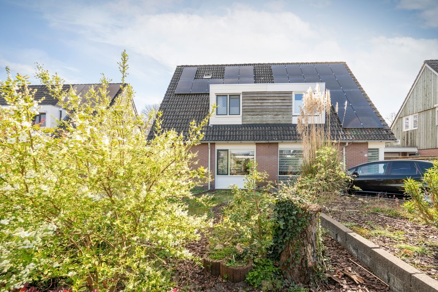 Foto 35 van Kuifmees 17