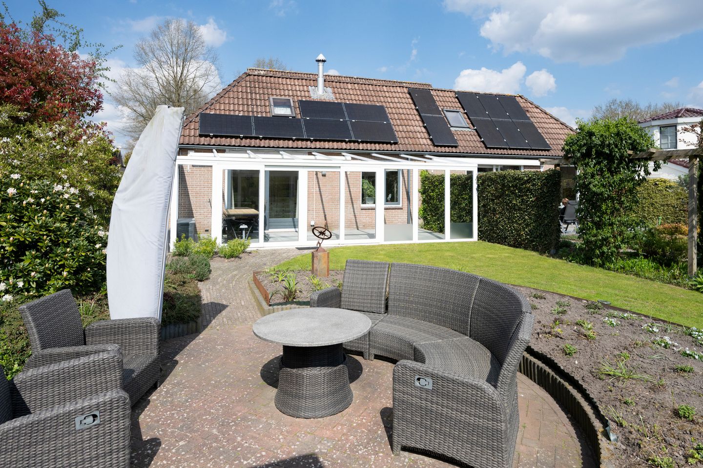 Foto 35 van Grijze Kraai 26