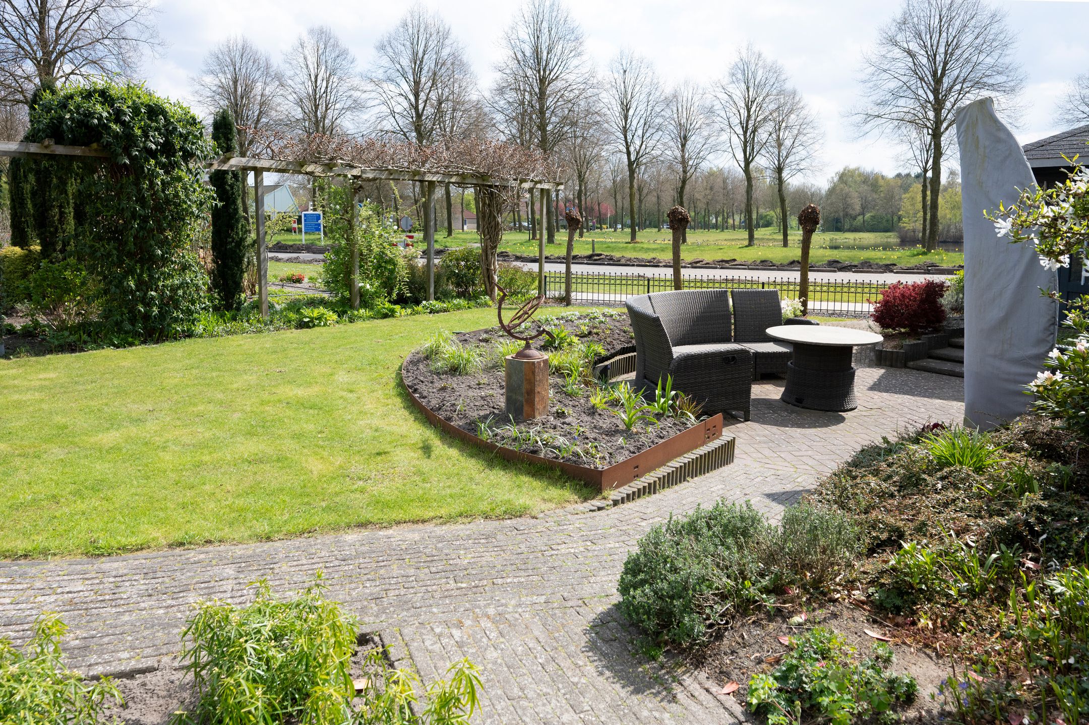 Foto 3 van Grijze Kraai 26