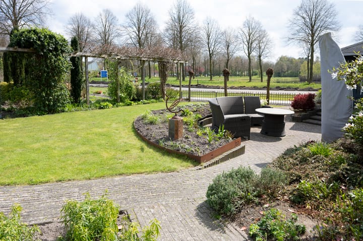 Foto 3 van Grijze Kraai 26