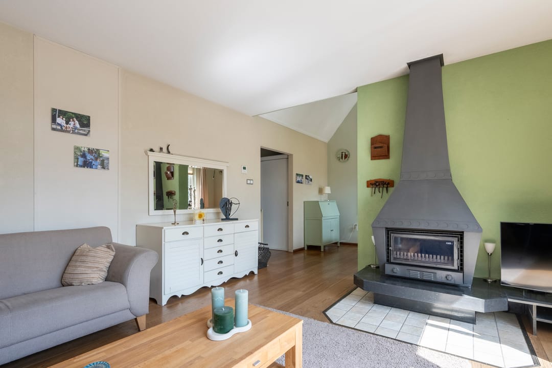 Foto 8 van Grijze Kraai 26