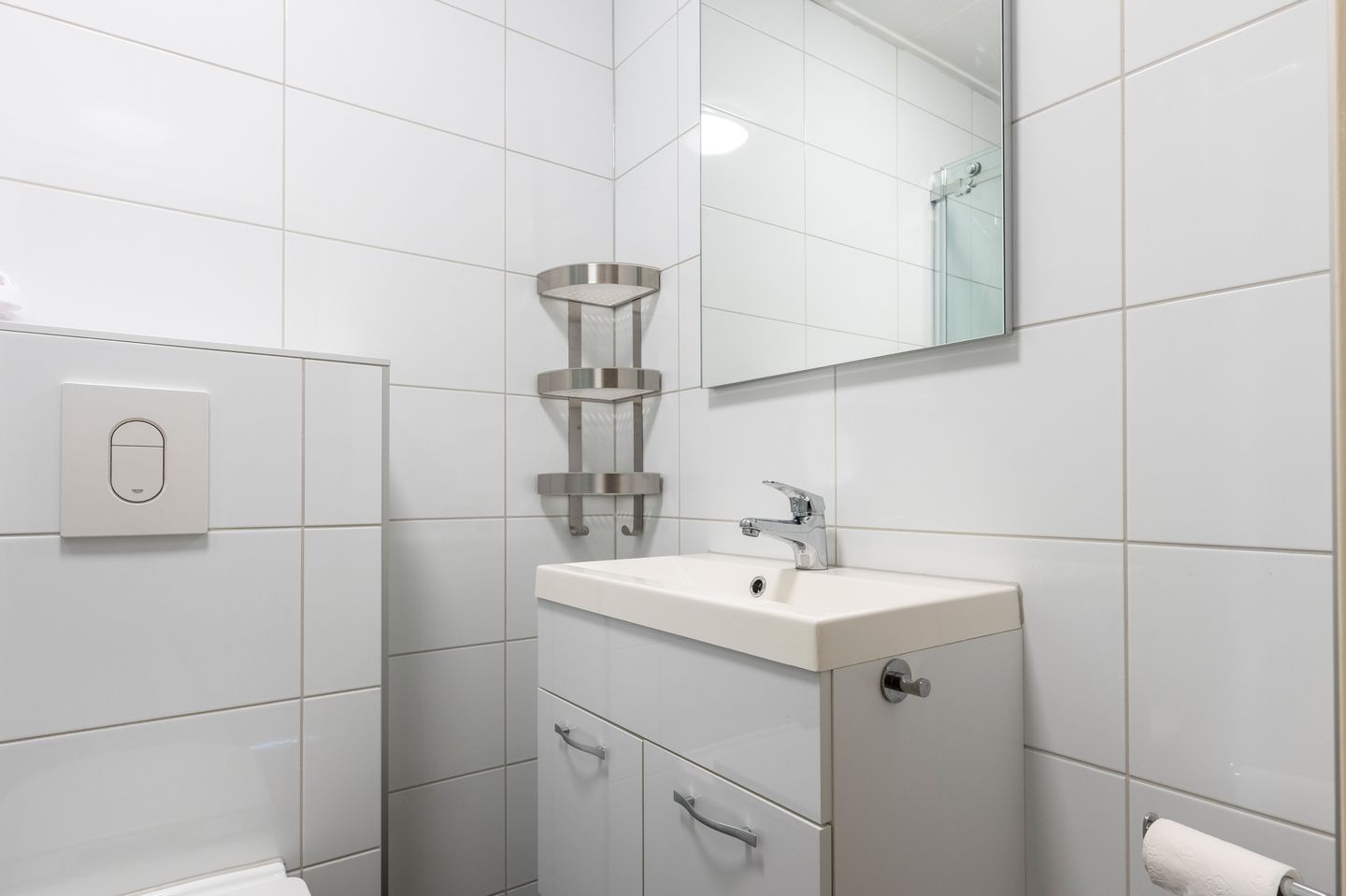 Foto 19 van Grijze Kraai 26