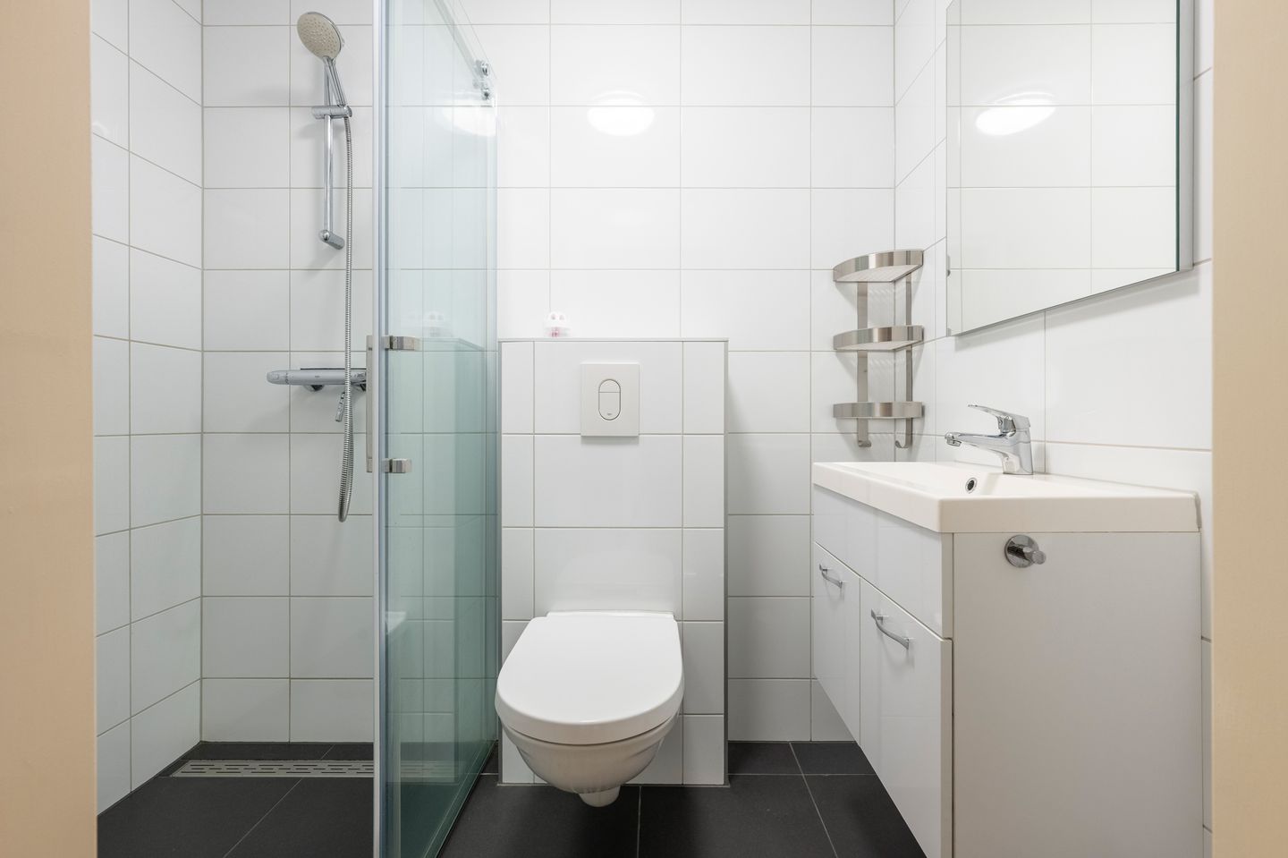 Foto 20 van Grijze Kraai 26