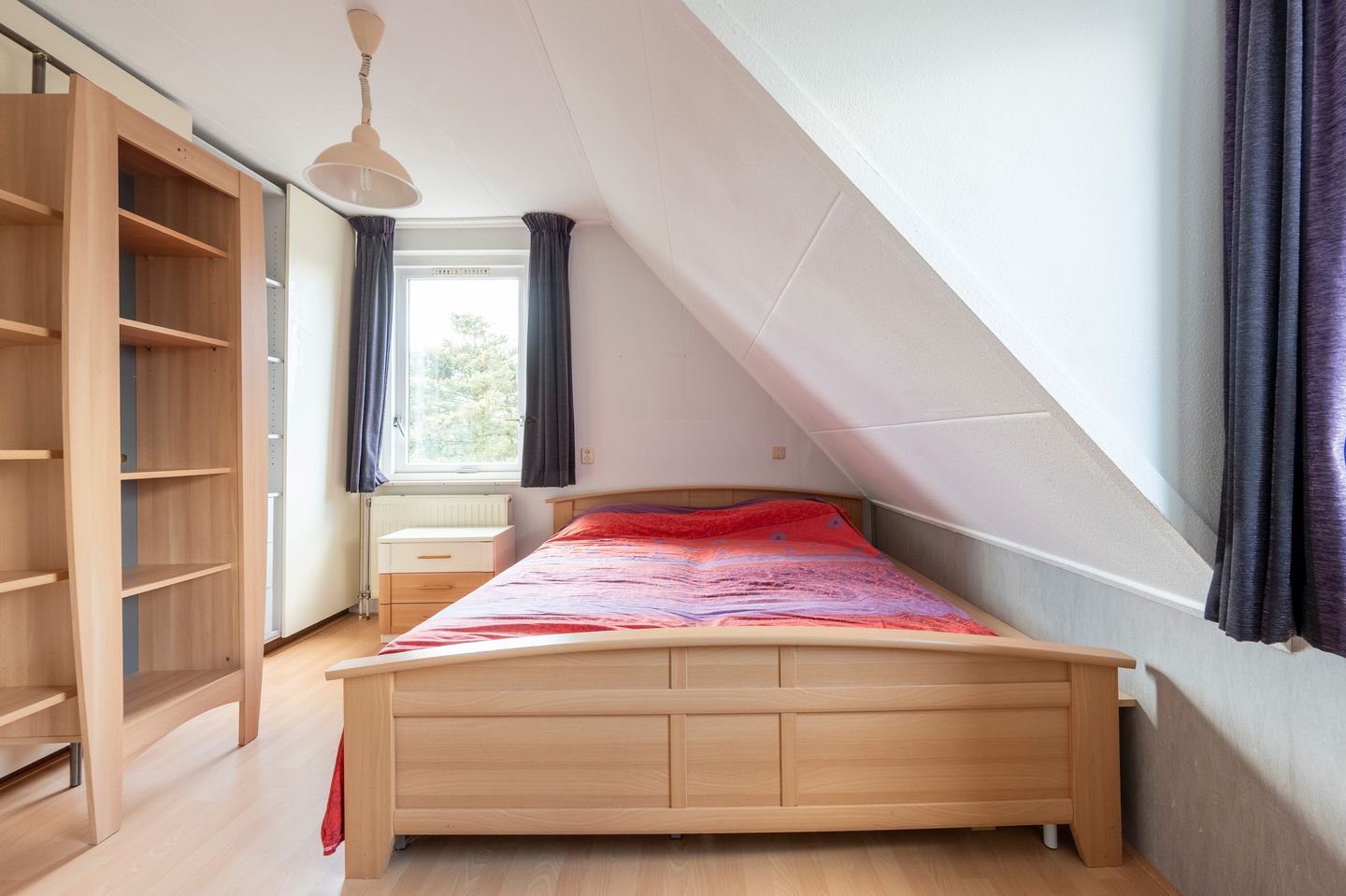 Foto 25 van Grijze Kraai 26