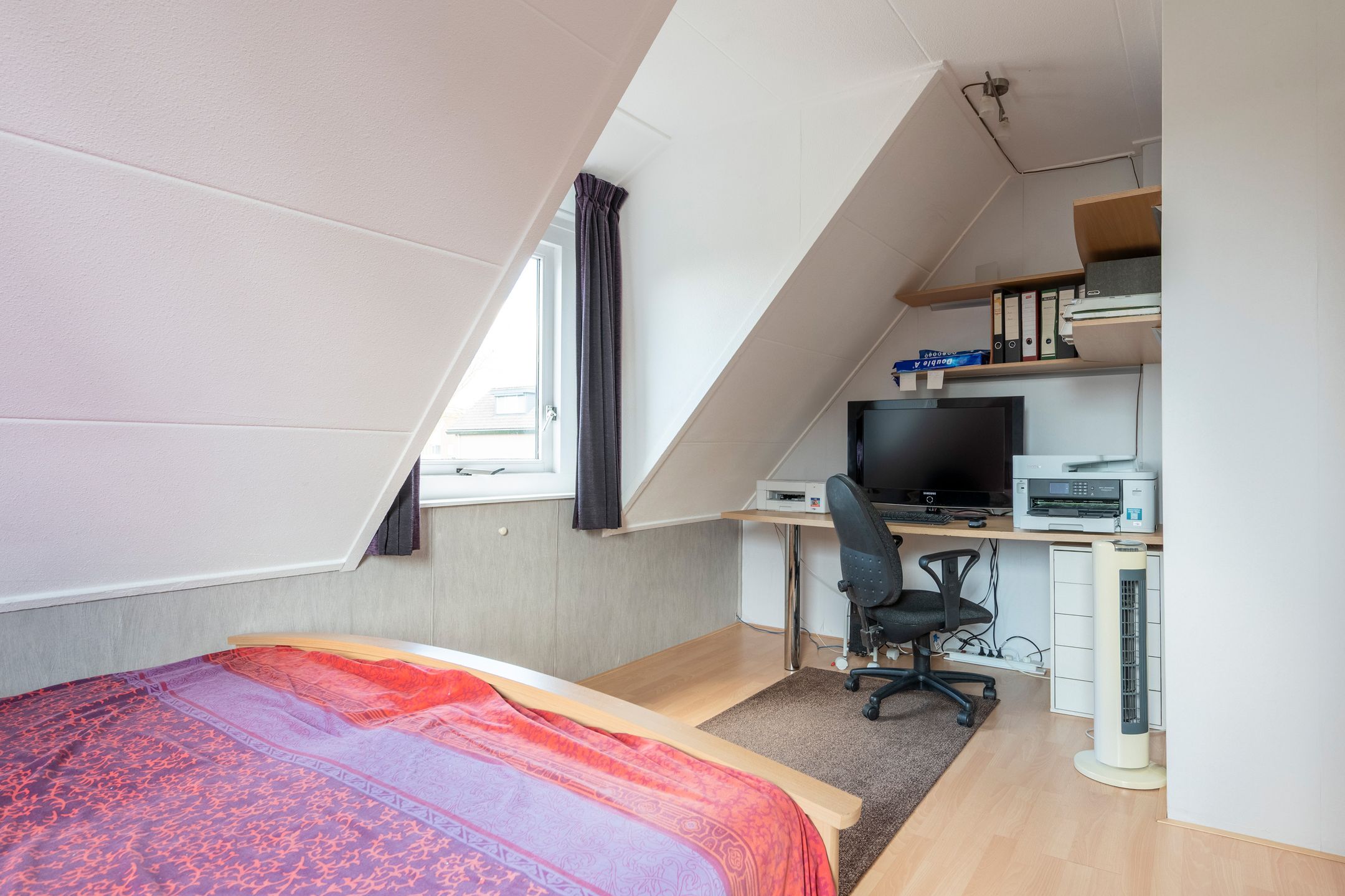 Foto 24 van Grijze Kraai 26