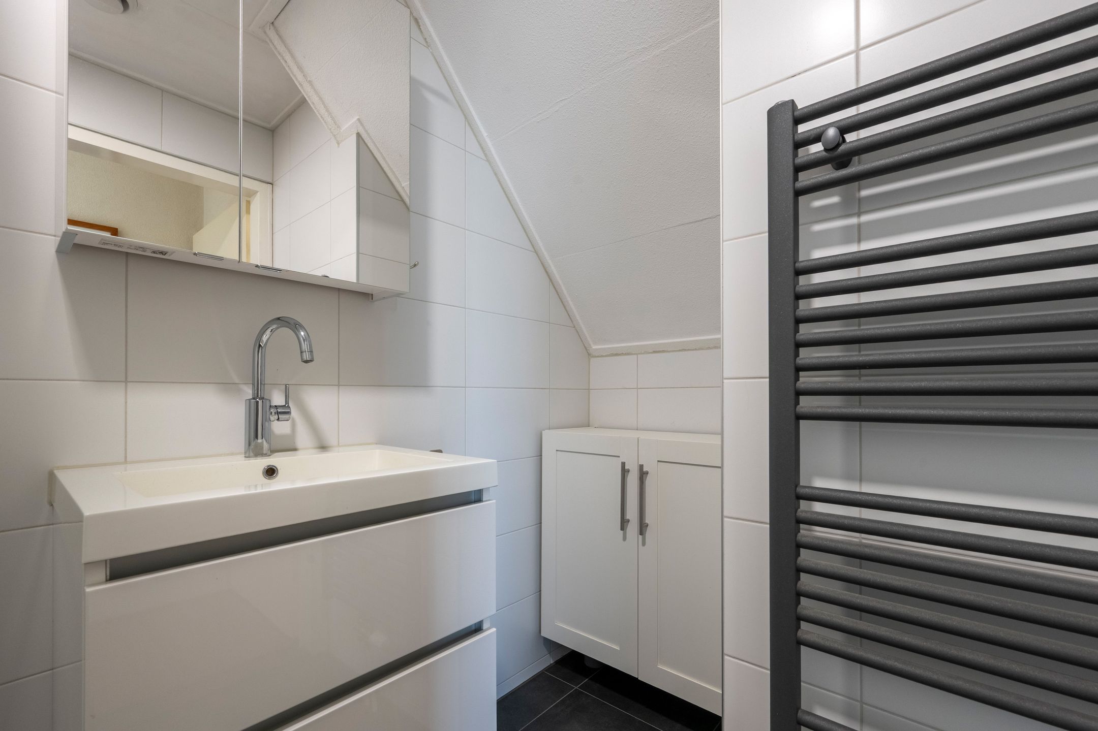 Foto 27 van Grijze Kraai 26