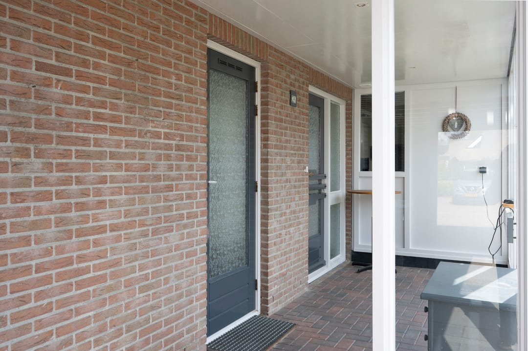 Foto 28 van Grijze Kraai 26