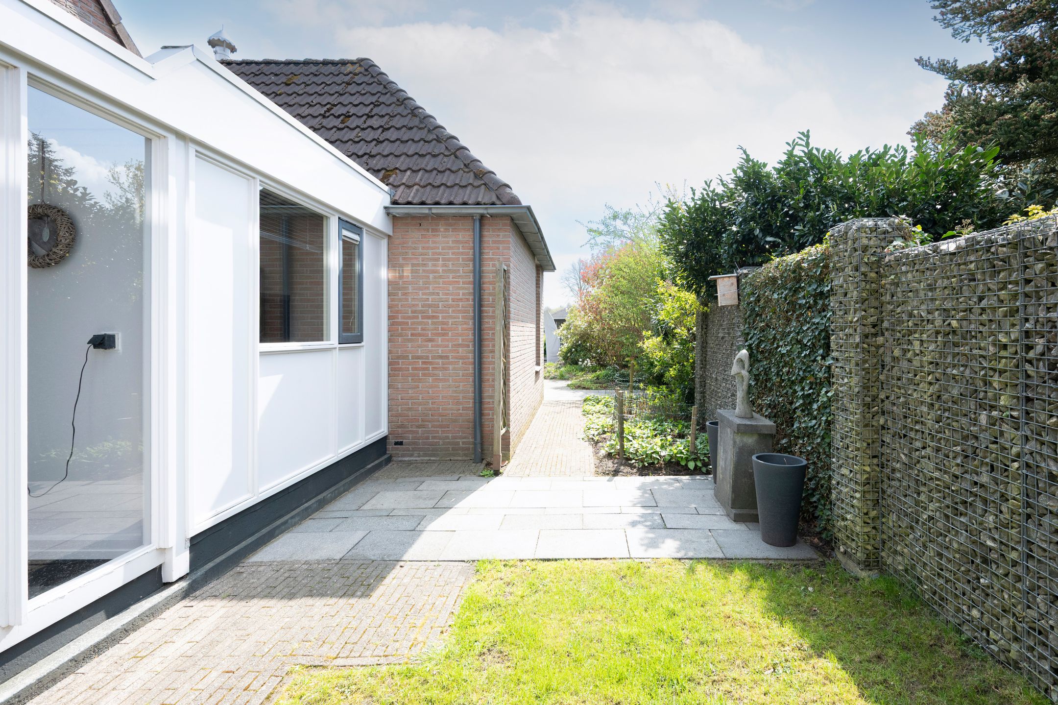 Foto 30 van Grijze Kraai 26