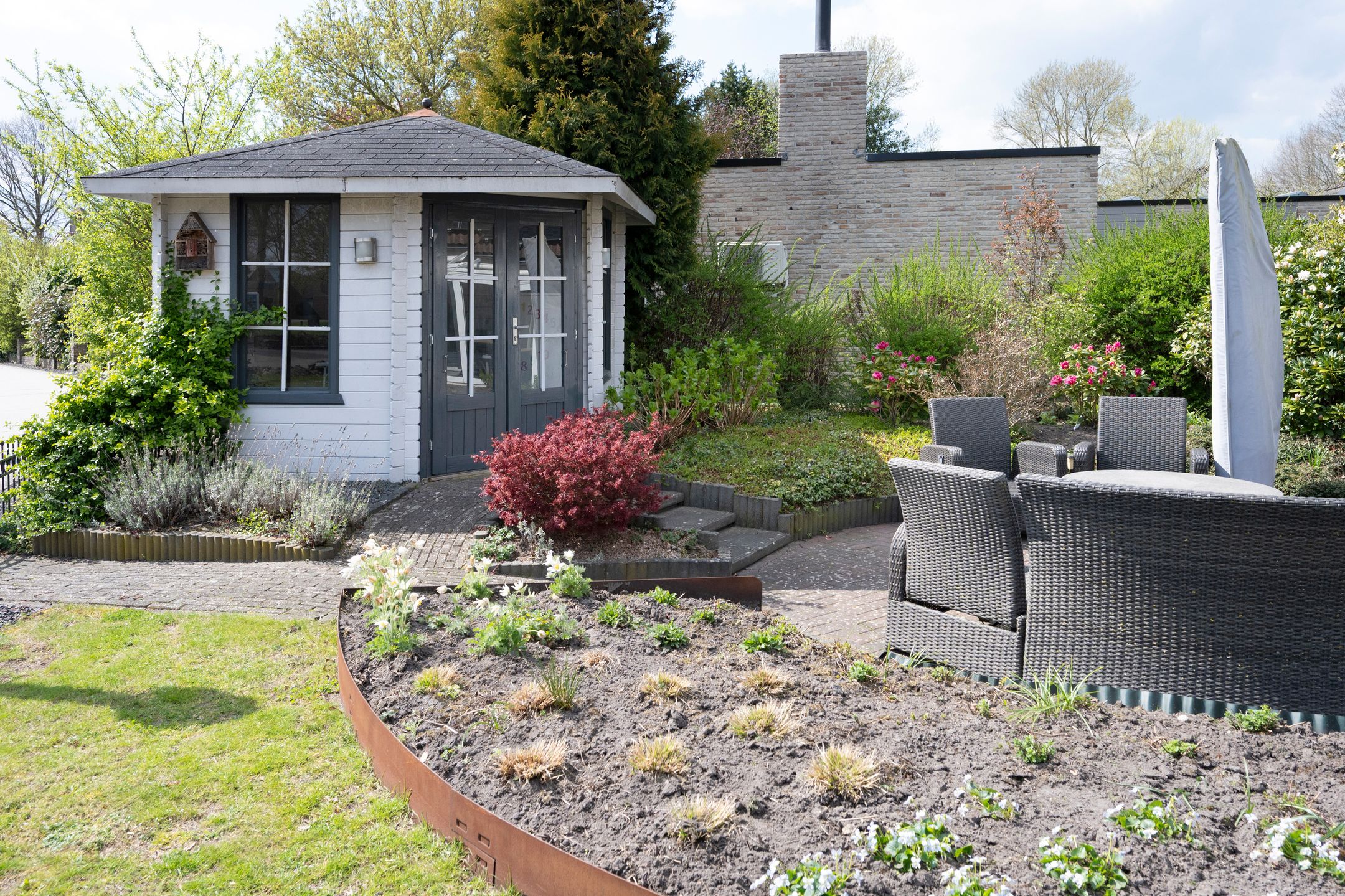 Foto 33 van Grijze Kraai 26