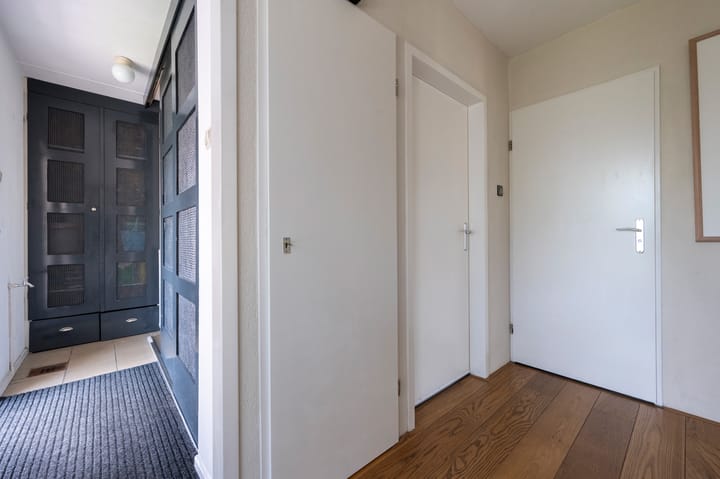 Foto 4 van Grijze Kraai 26