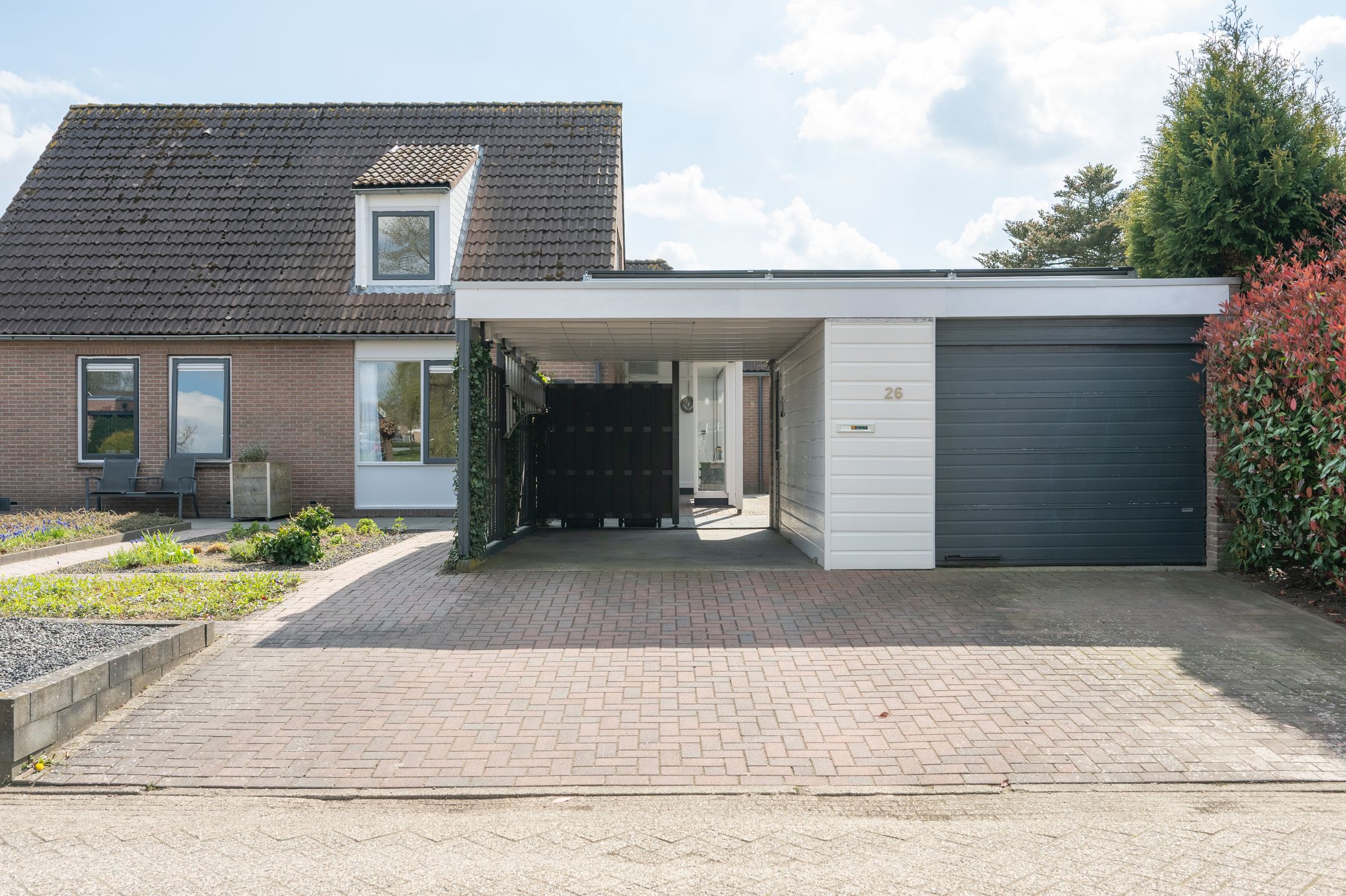 Foto 39 van Grijze Kraai 26