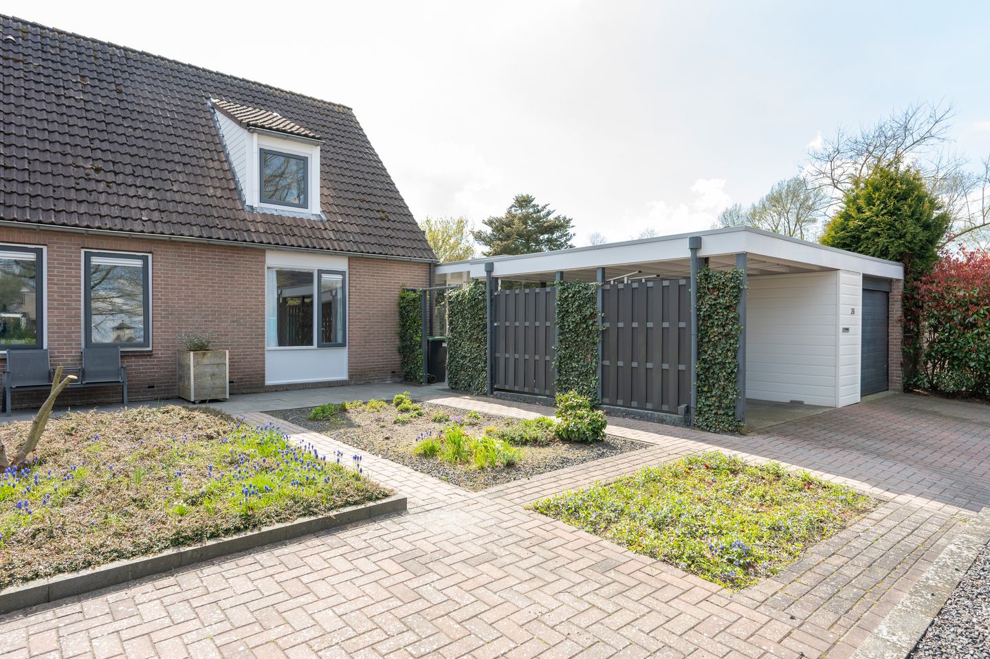 Foto 40 van Grijze Kraai 26