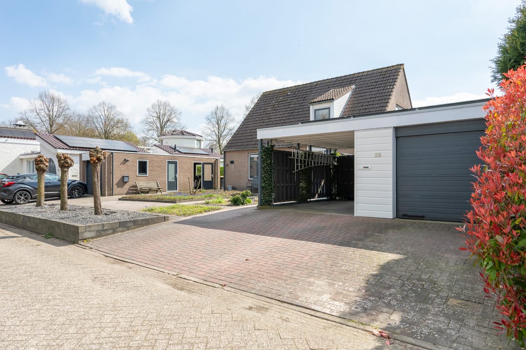 Foto 41 van Grijze Kraai 26