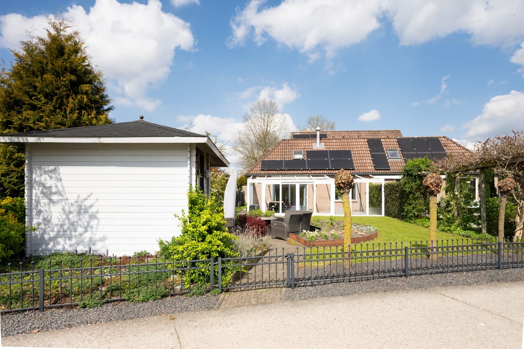 Foto 43 van Grijze Kraai 26