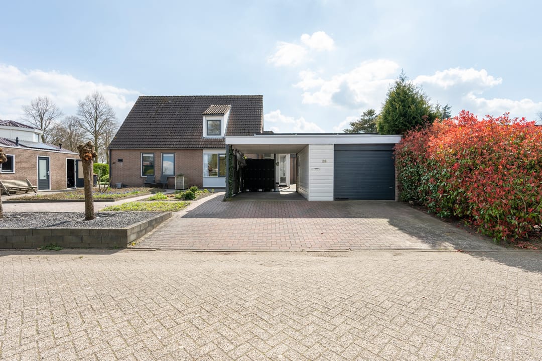 Foto 1 van Grijze Kraai 26