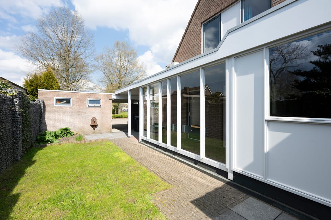 Foto 32 van Grijze Kraai 26