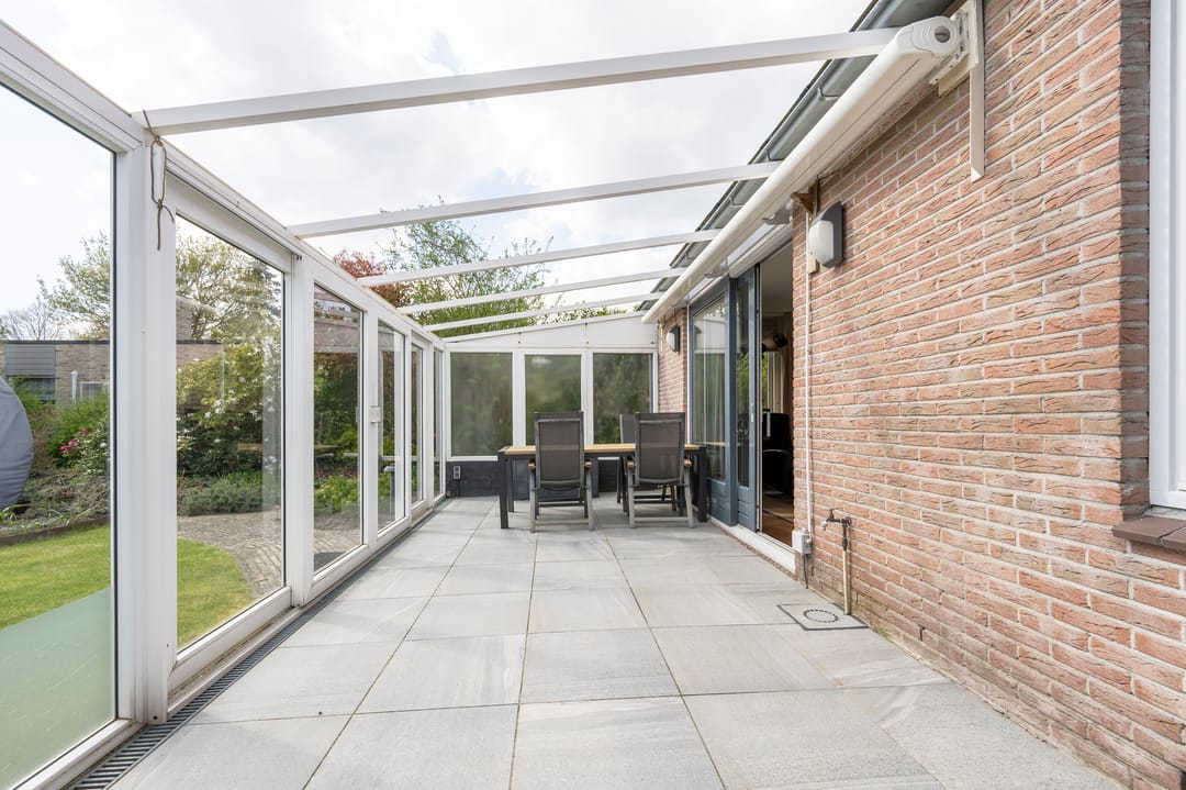 Foto 31 van Grijze Kraai 26