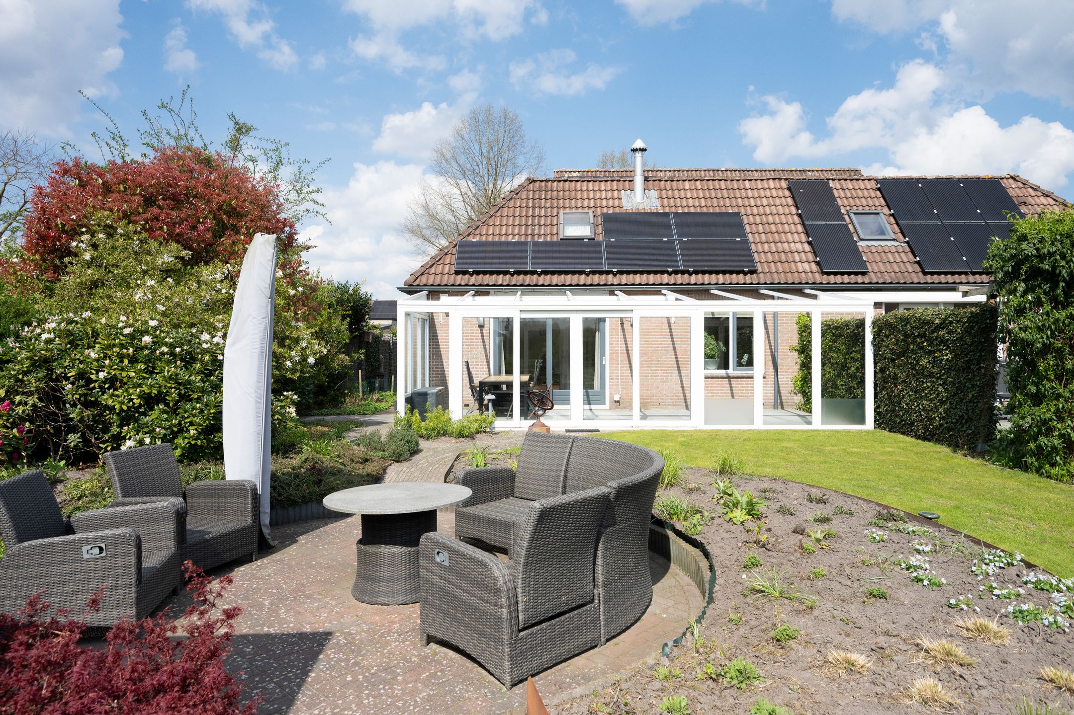 Foto 36 van Grijze Kraai 26