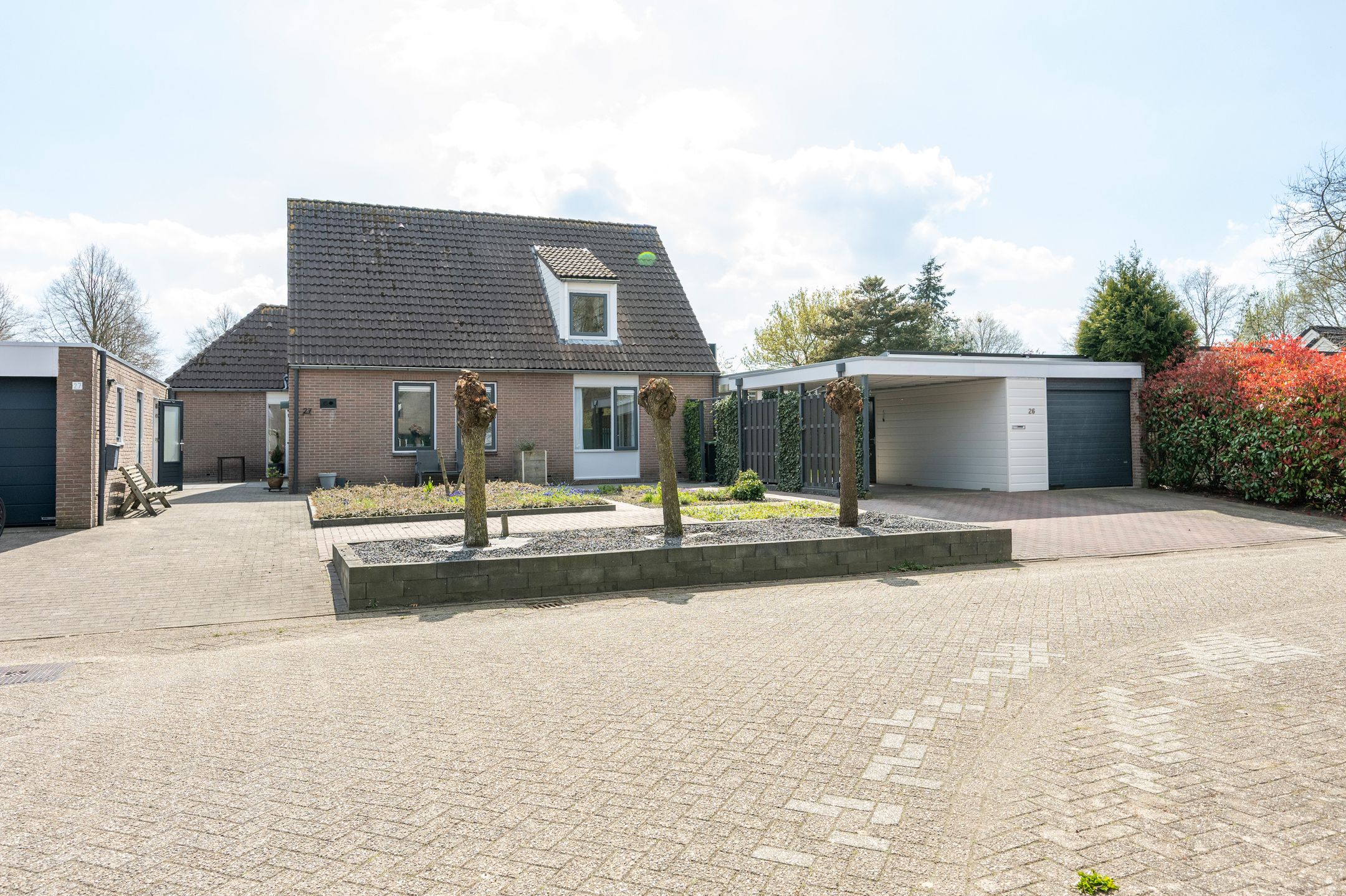 Foto 42 van Grijze Kraai 26