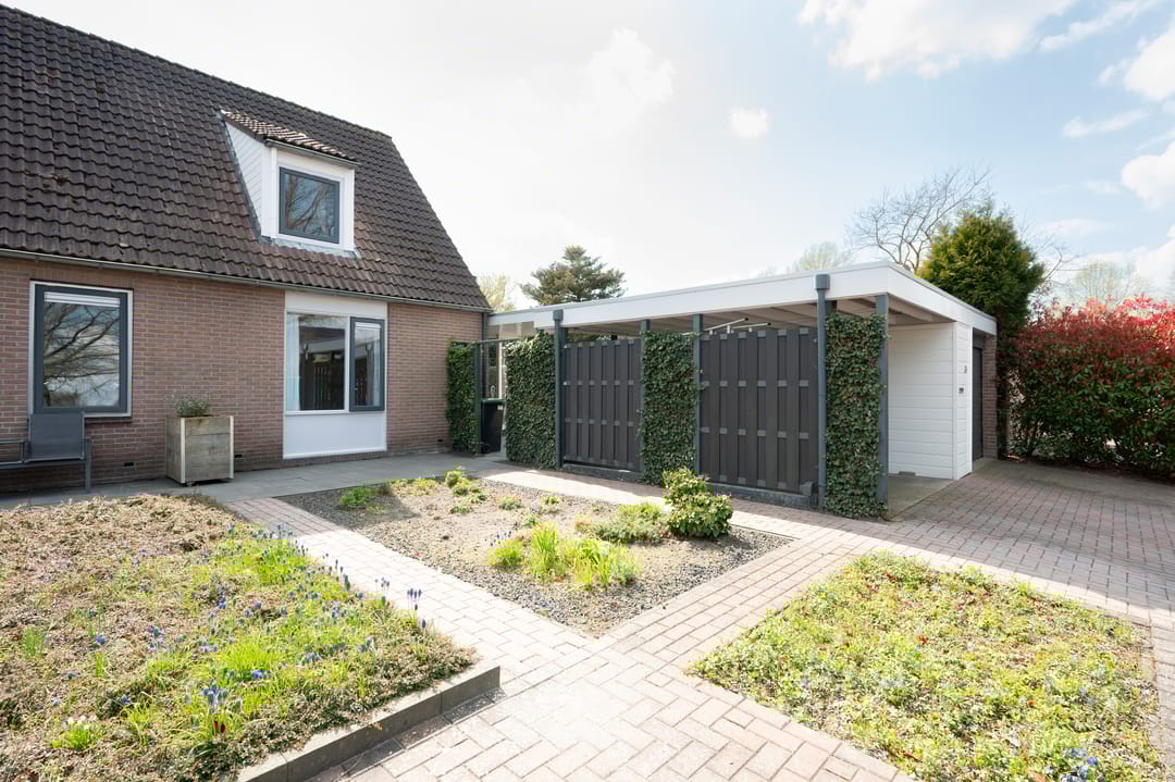 Foto 38 van Grijze Kraai 26