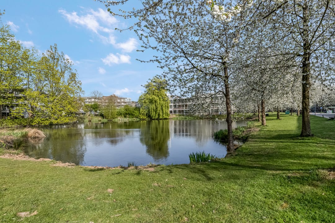 Foto 28 van Thorbeckestraat 160