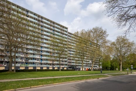 Eisenhowerstraat thumbnail