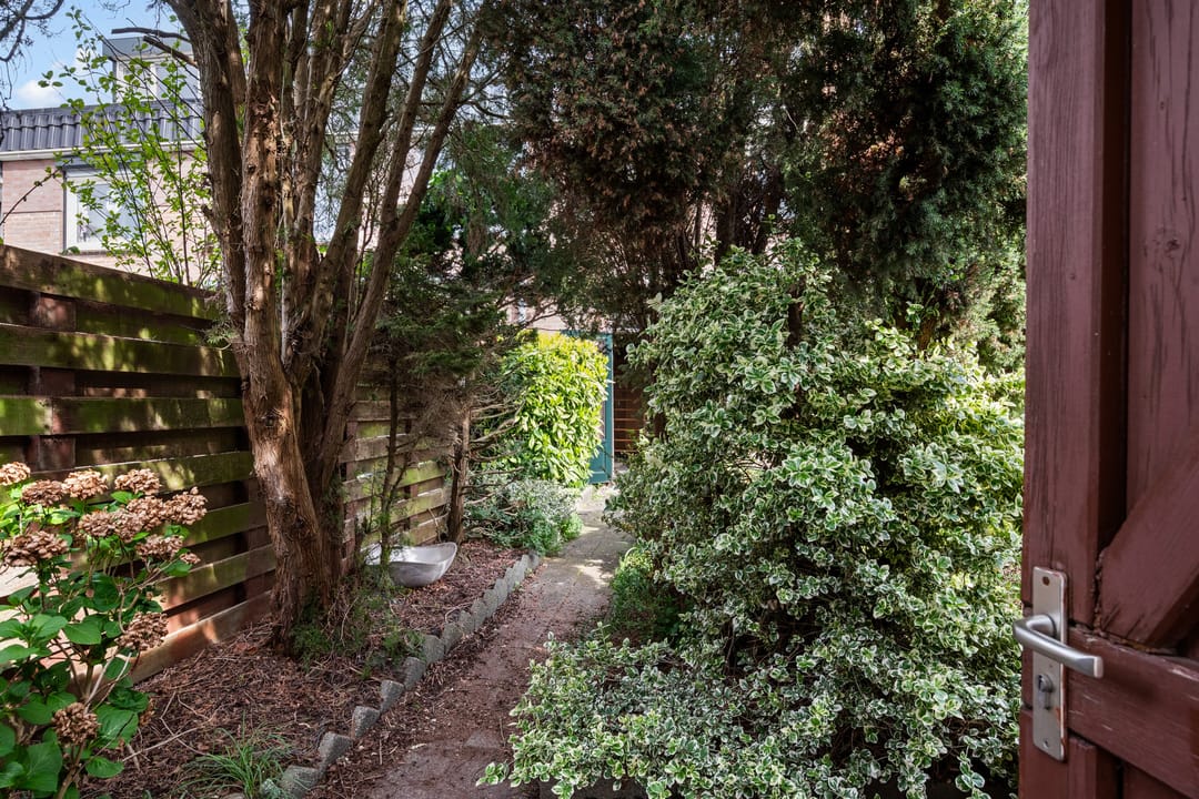 Foto 32 van Bertha von Suttnerstraat 49