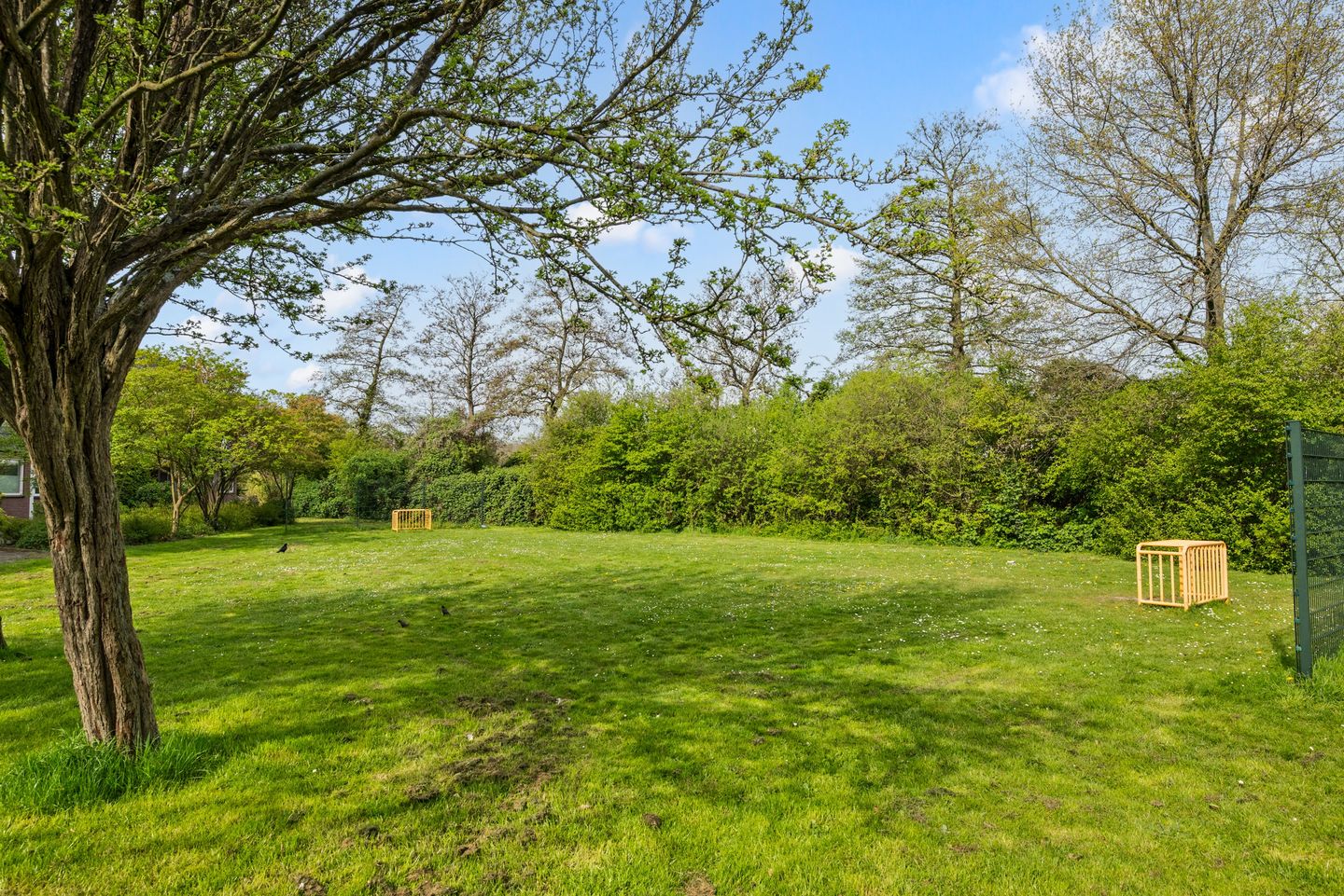 Foto 35 van Bertha von Suttnerstraat 49