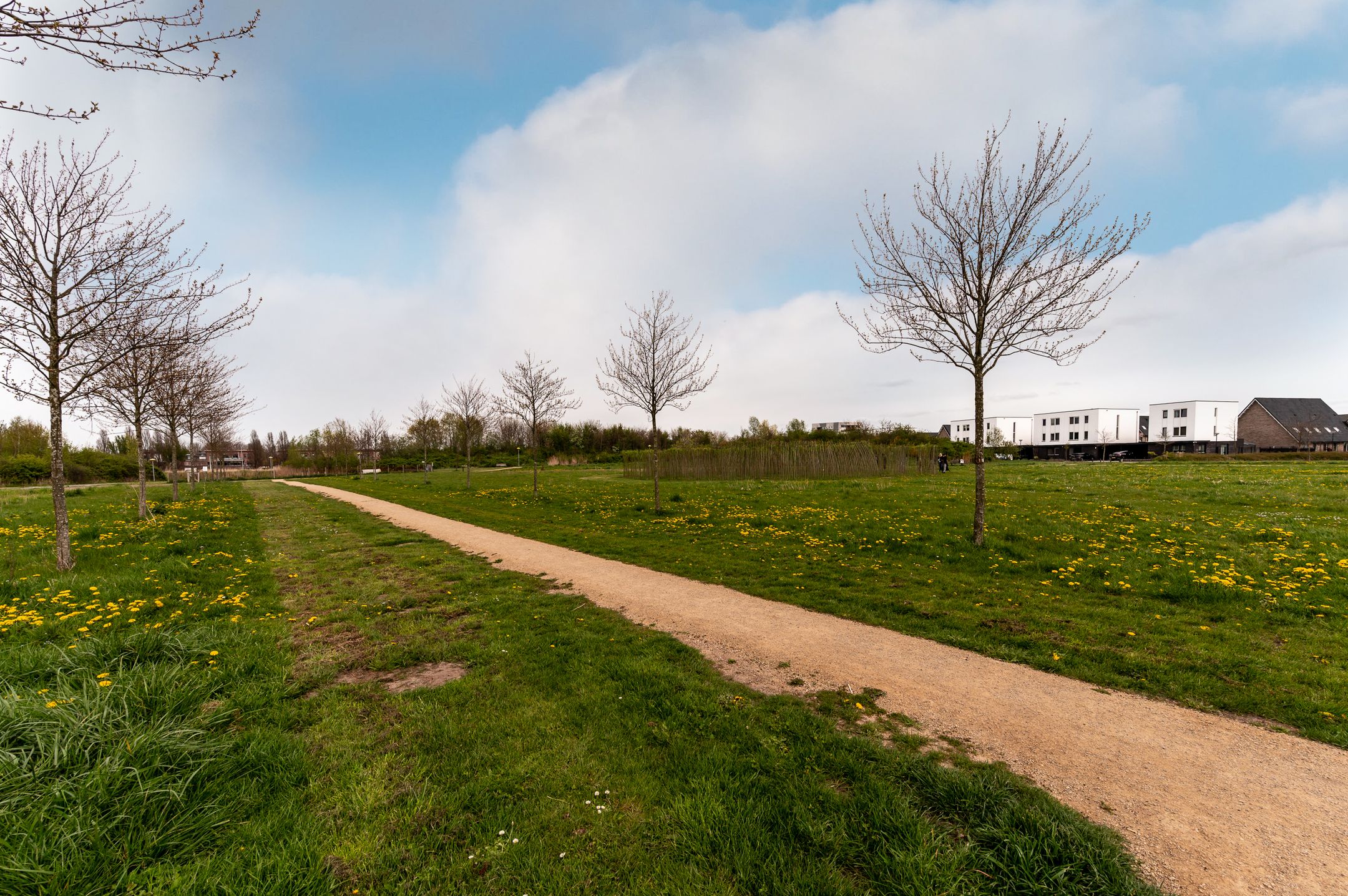 Foto 45 van Fioringras 38