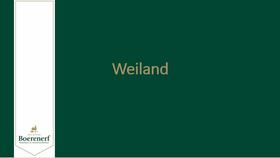 Foto 59 van Wolvegasterweg 51