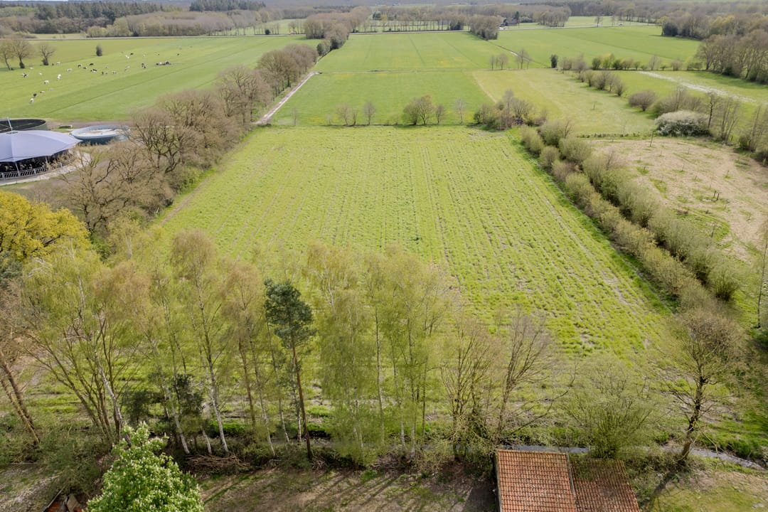 Foto 61 van Wolvegasterweg 51