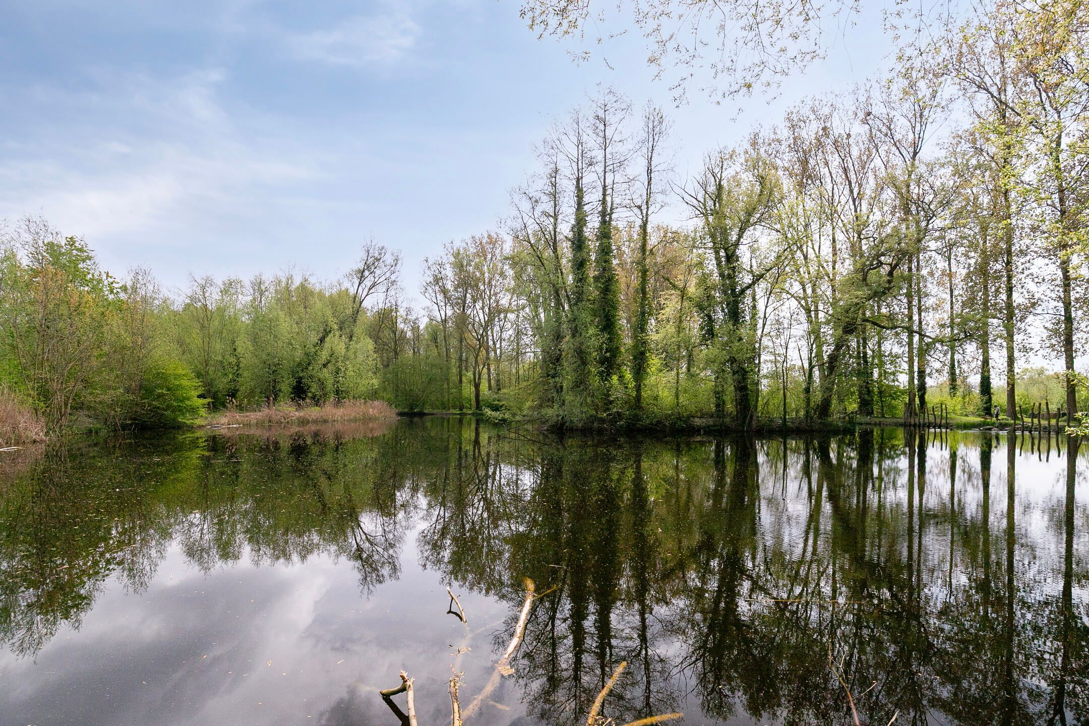 Foto 54 van Schoolstraat 55