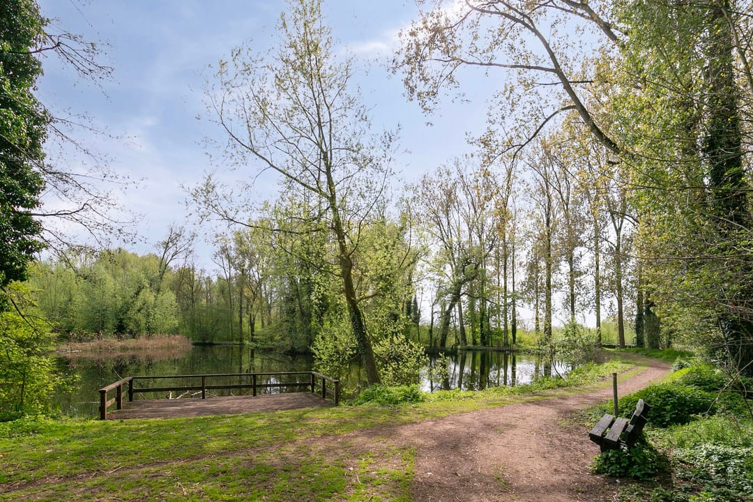 Foto 53 van Schoolstraat 55